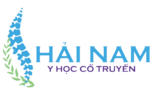 YHCT HẢI NAM - CHỮA CƠ XƯƠNG KHỚP, CỘT SỐNG, VAI, LƯNG, TAY, CHÂN, GỐI